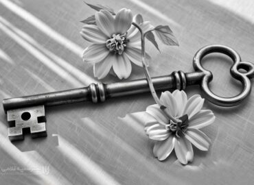 تجربه من از خودکوچینگ با مدل کواکتیو | راهنمای عملی و قابل اجرا